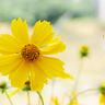 日本抗议者高喊中国对不起
